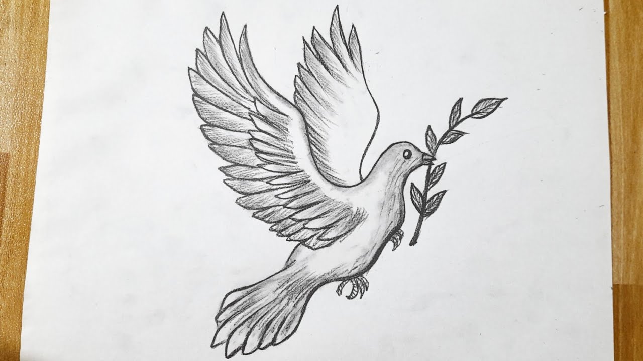 How to Draw Dove for Kids - Easy Drawing Tutorial