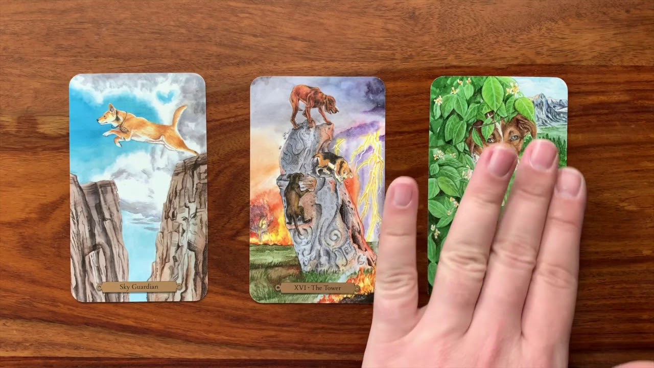 daily tarot february 27 2020
