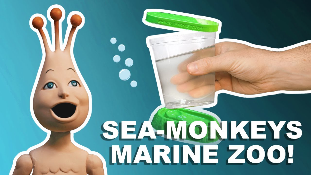 Sea Monkeys Ocean Zoo