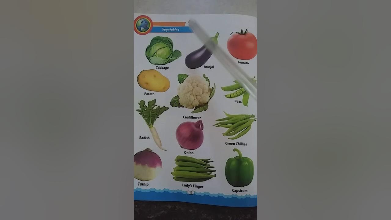 Class LKG/EVS/Vegetables Name YouTube