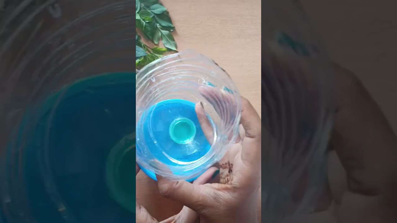 DIY Bird feeder Homemade - How to make Bird feeder from plastic bottle