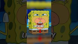 Spongebob Is Obsessed With A Cat?