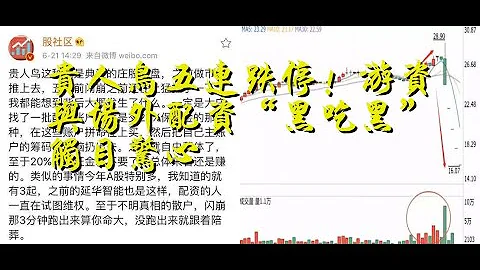 贵人鸟五连跌停！游资与场外配资“黑吃黑”触目惊心 - 天天要闻