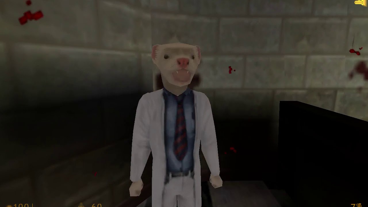 Mod Ferret Half-Life mod: ferret scientists (