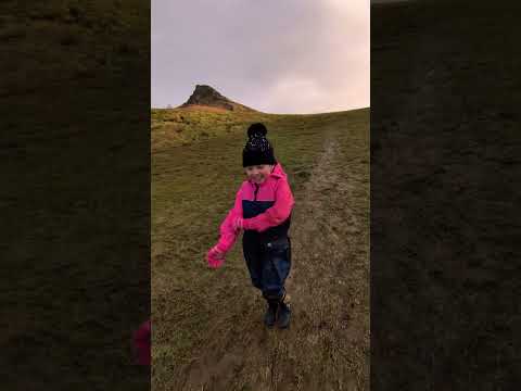 Hill rolling kids, best fun on the hills ! #walking #funny #playing #adventure  #nature
