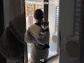 My Friends Dog vs My Dog🐶🤣13 #dog #pets #myfriendsdog #funny #myfriendsdogvsmy