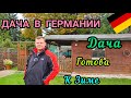 ДАЧА В ГЕРМАНИИ. КЛУБНИКА В НОЯБРЕ.  Дача готова к Зиме. Жизнь в Германии.