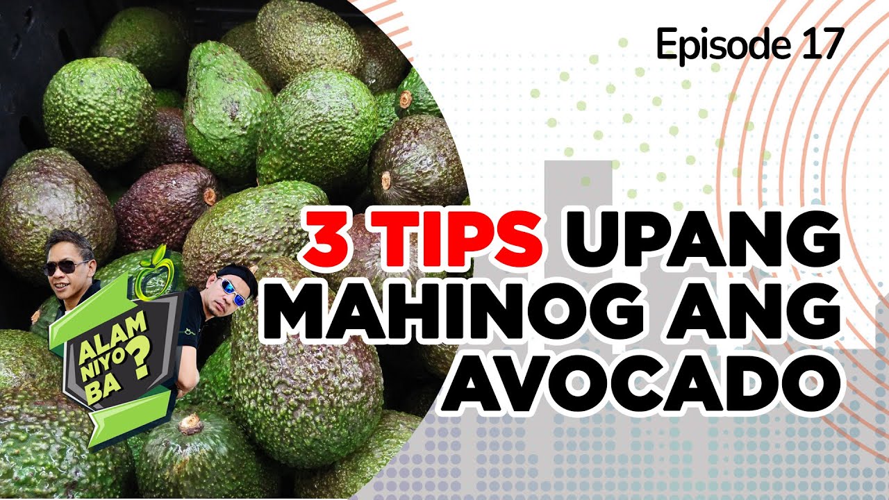 Alam Niyo Ba? Episode 17⎢‘3 Tips to Ripe your Avocado‘