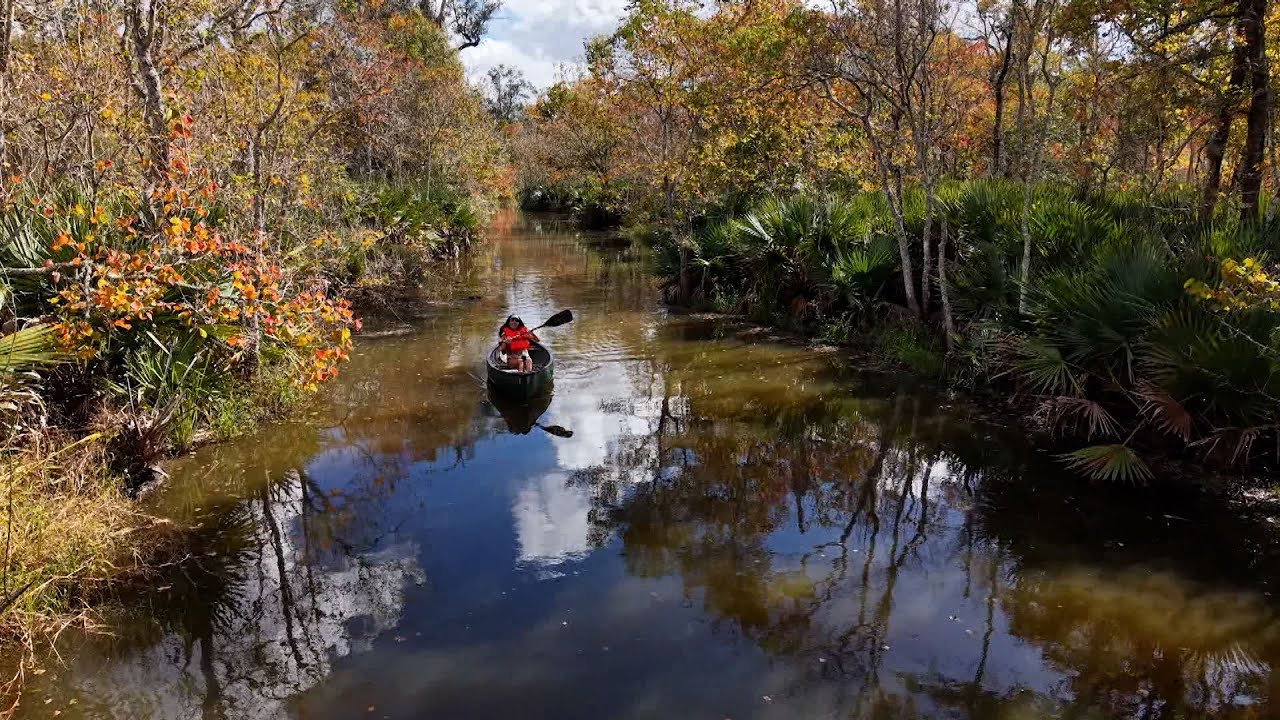 Vermilion Parish | LA64