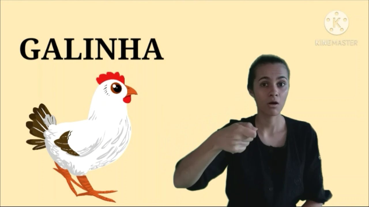 GALINHA-Sinal em LIBRAS - YouTube