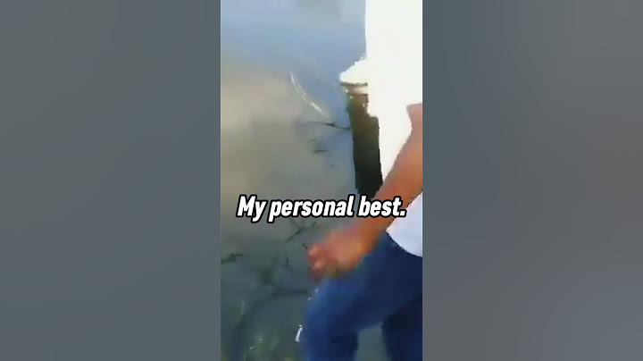 Father Has Taught His Son Well