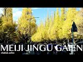 Japan Tokyo Meiji Jingu Gaien at autumn leaves - 明治神宮外苑 | 4K Japan Walk | #explorejapan #japan #4k