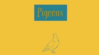 Pigeons