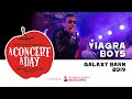 Viagra Boys | Watch A Concert A Day #WithMe #StayHome #Discover #Live #Music