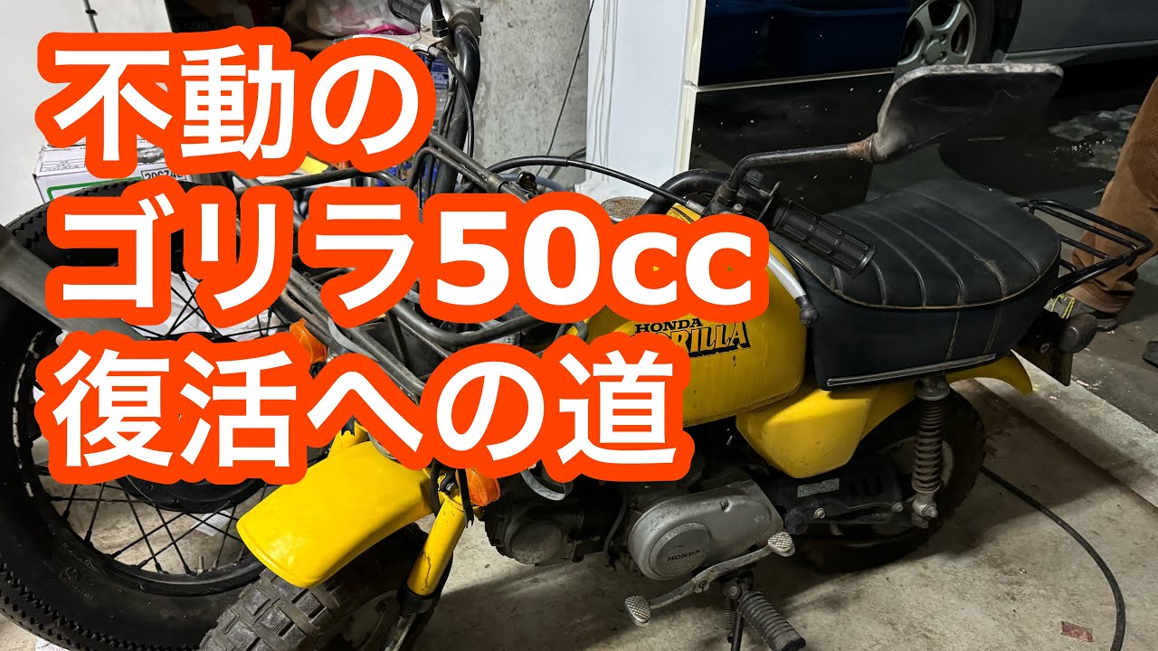 素人が直す不動車HONDAゴリラ50cc復活なるか？