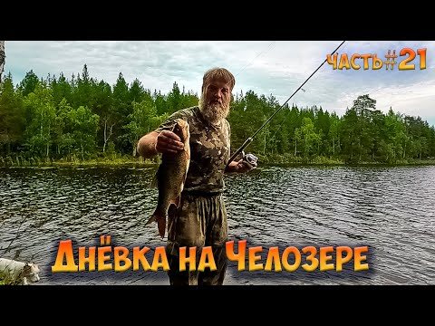 #21 Рыбачим на Челозере| Ковдозеро 2023