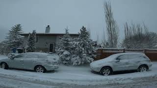 Heavy Snowfall In Calgary Extreme Weather In Canada 16【4K】