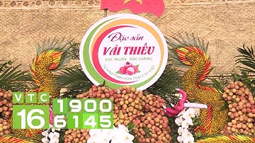 Bắc Giang xúc tiến tiêu thụ vải thiều tại Trung Quốc | VTC16