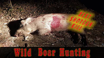Best BUCKSHOT KILL  - Hog hunting with Shotgun (2020)
