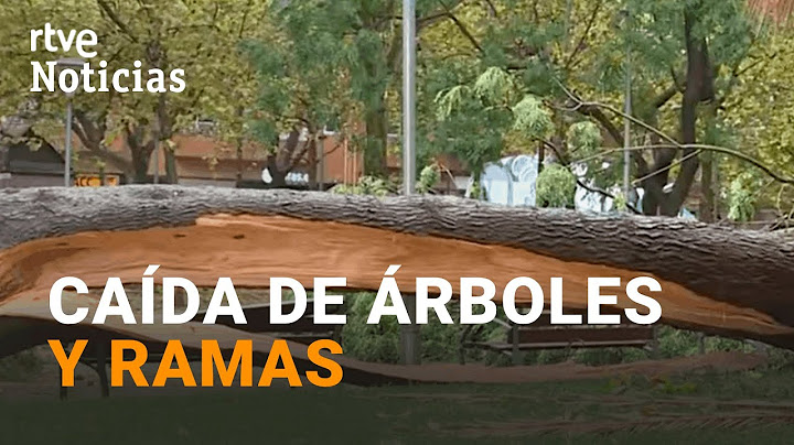 BARCELONA: Un NIÑO de 13 años, en ESTADO CRÍTICO por la CAÍDA de una RAMA en VILANOVA del CAMÍ |RTVE