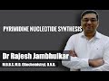 Pyrimidine nucleotide synthesis and degradation