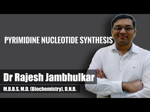 Video: Wat zijn pyrimidine-nucleotiden?