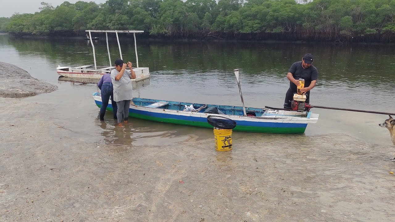 MANHA ABENÇOADA DE CHUVA E PESCARIA DE MARISCO NA ILHA 