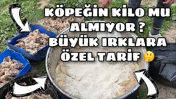 Kopege Yal Tarifi