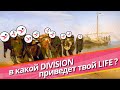 Live Division. Сетка без лицензий.