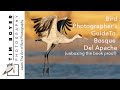 Bird Photographer&#39;s Guide to Bosque, the unboxing of the book proof