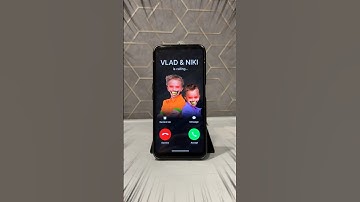 VLAD EN NIKI ROEPEN MIJ 😱