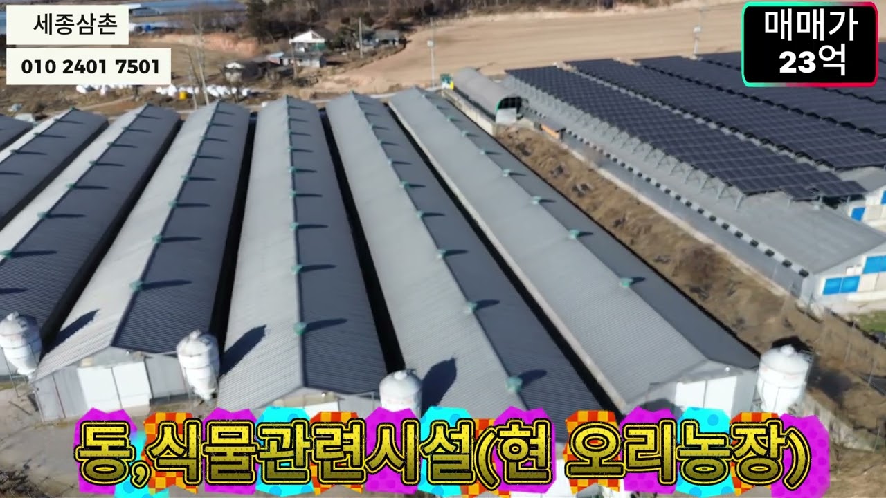 충북 음성군 양계장 토지/3,400평, 연면적/1,900평 양계장 매매/산란계,유정란 가능