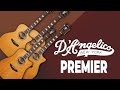 Акустики D'Angelico Premiere