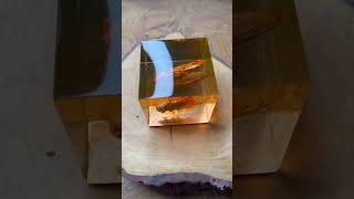 Pinned Cicada in Fiery Webbed Resin