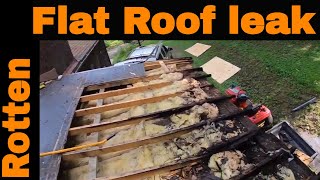 Replacing Rotten Plywood on a flat roof  Small repair is a disaster