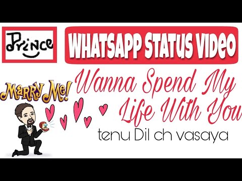whatsapp-status-video---wanna-spend-my-life-with-you-|-tenu-dil-ch-vasaya-|-marry-me-status