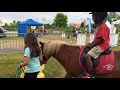 VITALSPORT 2018 Decathlon Tarbes Ecuries du Bouscarou cheval poneys équitation equifun