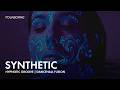 Folkborne Synthetic Hypnotic Groove Dancehall Fusion Official Mood Video