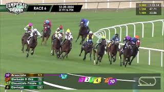 December 28, 2024   Race 6