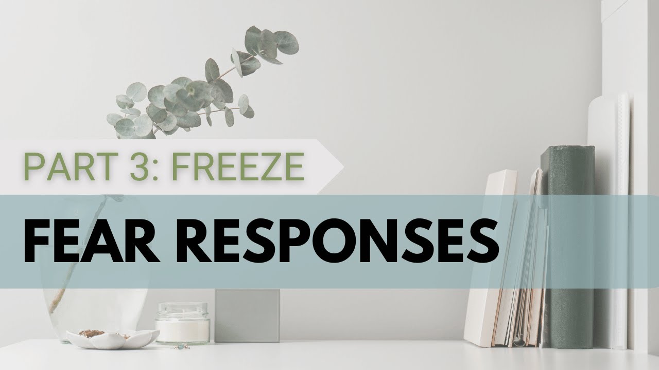The 4 Stress Responses (Part 3: Freeze)│The Anxiety Therapist - YouTube