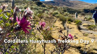Cordillera Huayhuash Trekking Day 9 (The End)