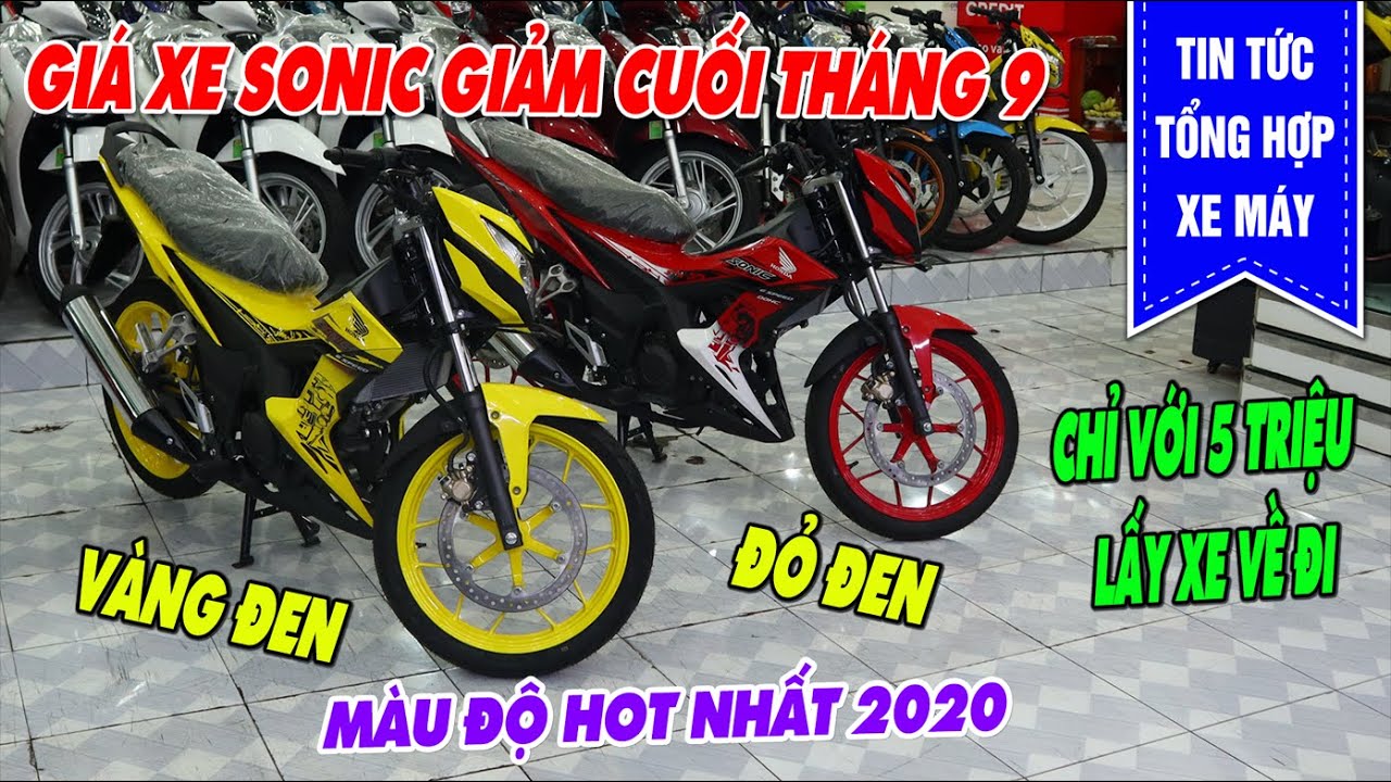 Cập nhật với hơn 94 sonic màu đen hay nhất  thdonghoadian