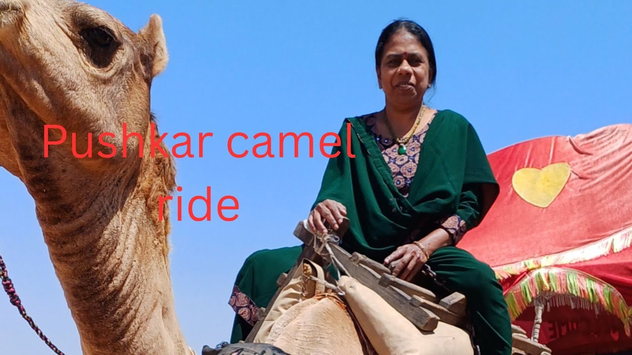 PUSHKAR I I CAMEL RIDE I STOPWATCH I SREELATHA I