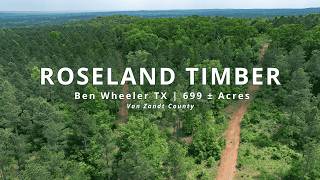 699 Acres East Texas Hunting & Timber Land for Sale Ben Wheeler TX Van Zandt County