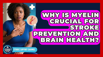 Why Is Myelin Crucial For Stroke Prevention And Brain Health? - Stroke Support Channel