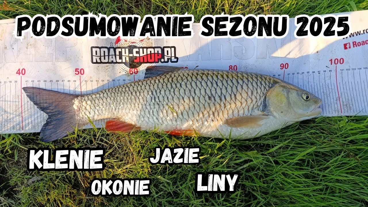WĘDKARSKIE PODSUMOWANIE 2025 NAJLEPSZE RYBY SEZONU 