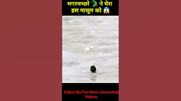 मगरमच छ न घ र इस म स म क Chambal River Magarmach Viral Video Shorts 