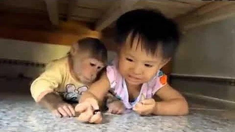 The child got into trouble, fearing that monkey would be killed and dragged it under the bed to hide