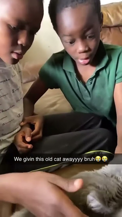 This cat is so not racist #roblox #funnyvideos #fortnite #funnyprank #stitch #funny #foryou