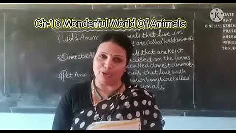 11/02/21 , Class 2 , EVS , Ch- 16 Wonderful World Of Animals.(Part-1)